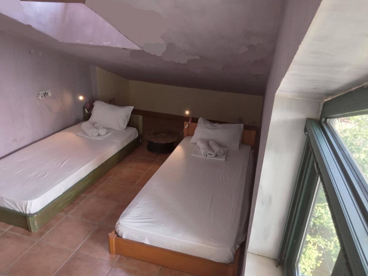 The White Rabbit Guesthouse Eco-Lodge "Cosy Apartment" Psakoudia Exterior photo